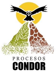 Procesos el condor